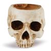 Modern Resin Skull Shaped Head Design Pots Head Model Decoration Flower Planter Props