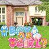 14Pcs Gender Reveal Yard Sign With Stakes Boy Or Girl Baby Shower Party Supplies For Indoor Outdoor Decoracion (Shipment From Fba)