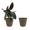2 Pcs 10" Round Plant Pots With Drainage Holes, Rust Brown
