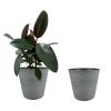 2 Pcs 10" Round Plant Pots With Drainage Holes, Dark Grey