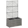Trellis Raised Bed With 2 Pots 22.8" X 11.8" X 42.1" Poly Rattan Gray