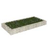 Gabion Raised Bed Galvanized Steel 78.7"X39.4"X7.9"