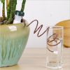 Automatic Watering Kits 2Pcs/Set Micro Drip Irrigation System Creative Watering Stake Indoor Gardening Flower Pot Plant Potted Automatic Watering Tool