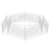 Hexagonal Gabion Raised Bed 78.7"X68.1"X15.7"