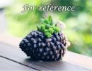 Resin Simulation Pine Cones Succulent Plant Pot Lovely Planter For Succulent Cactus