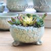 Ceramics Succulent Planter Pot With Drainage Cactus Herb Bonsai Plant Pot Container