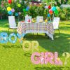 10Pcs Gender Reveal Yard Sign With Stakes Boy Or Girl Baby Shower Party Supplies For Indoor Outdoor Decoracion (Shipment From Fba)