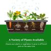 4 Ft Vertical Raised Garden Bed With 5 Tiers For Patio Balcony