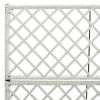 Trellis Raised Bed With 2 Pots 22.8"X11.8"X42.1" Poly Rattan White