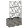 Trellis Raised Bed With 2 Pots 22.8" X 11.8" X 42.1" Poly Rattan Gray