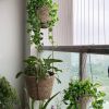 2 Tier Woven Hanging Plant Pot Seagrass Wall Hanging-Natural