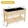 Wood Elevated Planter Bed With Lockable Wheels Shelf And Liner