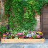 Wooden Vegetable Raised Garden Bed For Backyard Patio Balcony