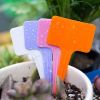 100 Pcs T-Type Plant Labels Colorful Plastic Plant Tags Nursery Garden Pot Plant Markers, Random Color