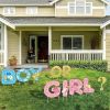 10Pcs Gender Reveal Yard Sign With Stakes Boy Or Girl Baby Shower Party Supplies For Indoor Outdoor Decoracion (Shipment From Fba)
