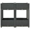 Raised Bed 31.5"X15.7"X28" Polypropylene