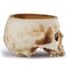 Modern Resin Skull Shaped Head Design Pots Head Model Decoration Flower Planter Props