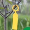 100 Pcs Plastic Plant Label Nursery Plant Tree Hanging Tags Garden Labels With Buckle Waterproof Tag