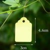100 Pcs Pvc Plant Labels Hanging String Plant Tags Waterproof Plant Markers, Random Color