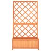 Garden Trellis Planter Brown 27.6"X11.8"X53.1" Solid Firwood