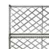 Trellis Raised Bed With 2 Pots 22.8" X 11.8" X 42.1" Poly Rattan Gray