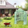 8 Shelves Mini Walk In Greenhouse Outdoor Gardening Plant Green House