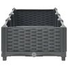 Raised Bed 47.2"X15.7"X9.1" Polypropylene