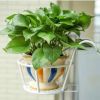Hanging Railing Planters Flower Pot Holders Metal Planter Racks Fence Potted Stand Mounted Round Plant Baskets Container For Indoor Outdoor Use