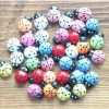 Japanese Groceries Seven Star Ladybird Micro Bonsai Multi Meat Ornaments Garden Decoration