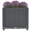 Raised Bed 15.7"X15.7"X15" Polypropylene