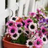 Flowerpot Fade-Less Fall-Resistant Ornamental Drain Hole Eco-Friendly Plant Pot Plant Accessories