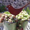 Garden Insert Card Bird Garden Decoration Plug-In Iron Sheet Family Simulation Gardening Decorations