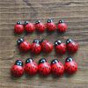 Japanese Groceries Seven Star Ladybird Micro Bonsai Multi Meat Ornaments Garden Decoration