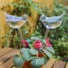 Bird Glass Watering Device Automatic Dripping Plant Pot Waterer Creative Lazy Artifact Vase Dripping