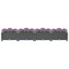 Raised Bed 63"X15.7"X9.1" Polypropylene